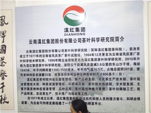 滇红集团建立茶叶科学研究院 (2)_副本