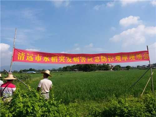 微信图片_20170816151917_副本