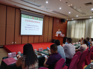 已编辑图片