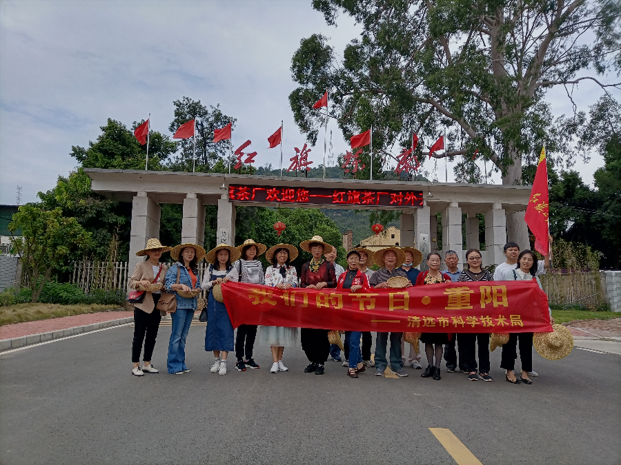 已编辑图片