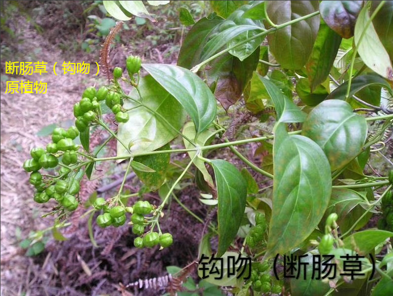 图片6.png