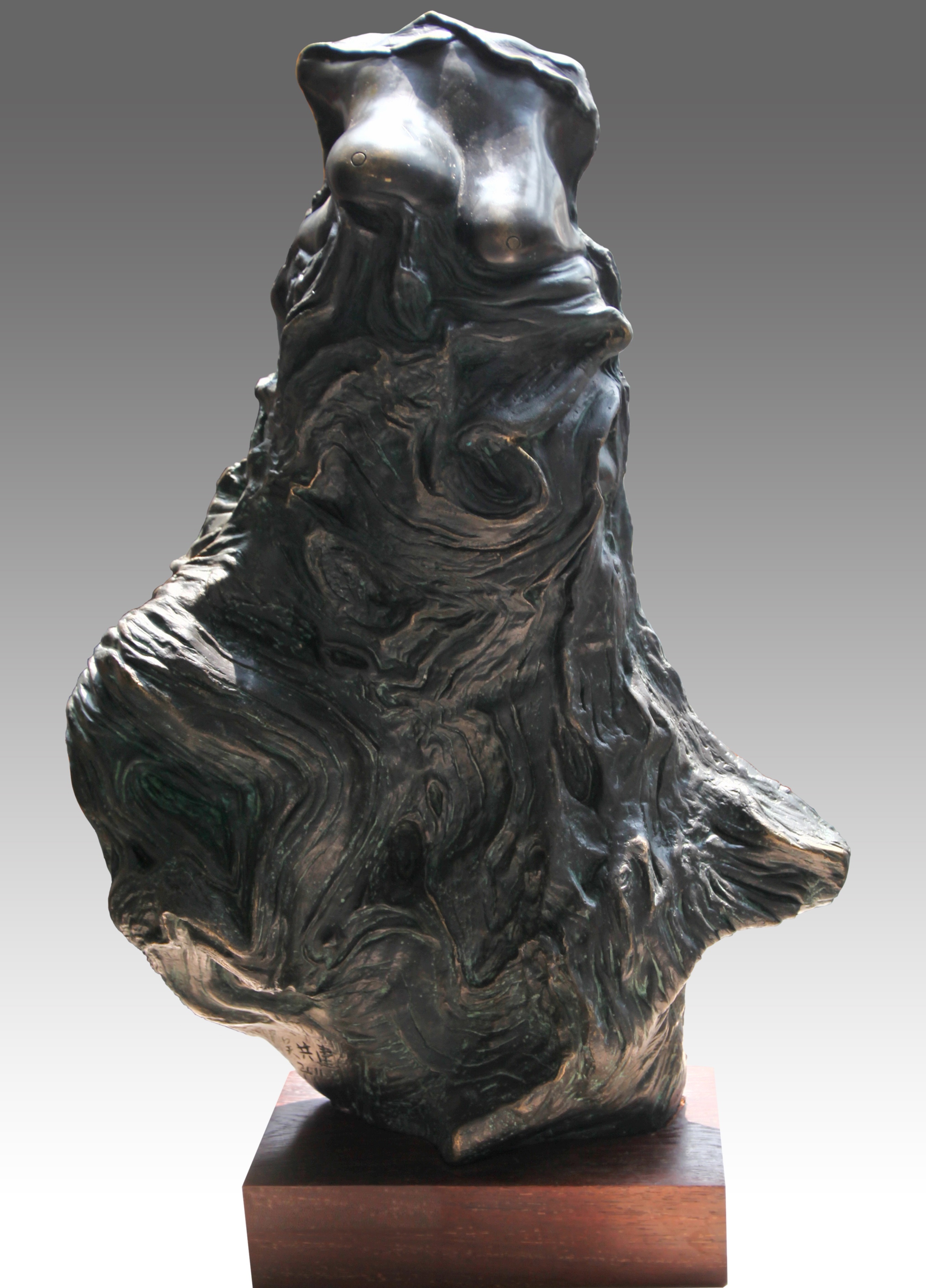 4.《韵》2009年.jpg