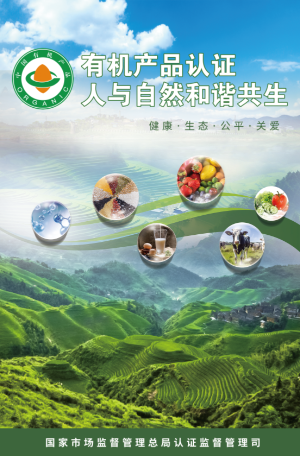 图片205.png