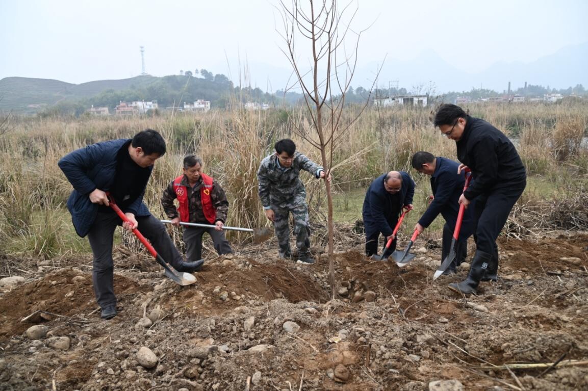 兵“林”城下 退役军人走在绿美清远生态建设“第一方阵”，万株新苗筑牢粤北生态屏障
