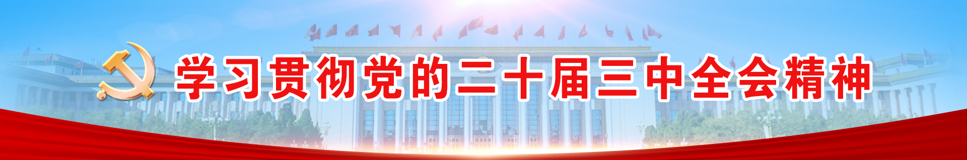 学习贯彻党的二十届三中全会精神