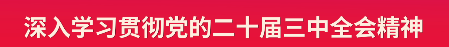 深入学习贯彻党的二十届三中全会精神