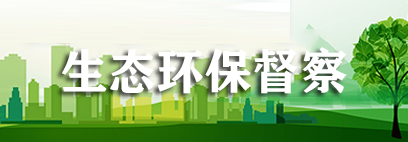 生态环保督察