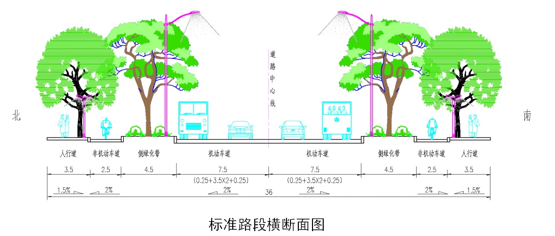 标准横断面.jpg