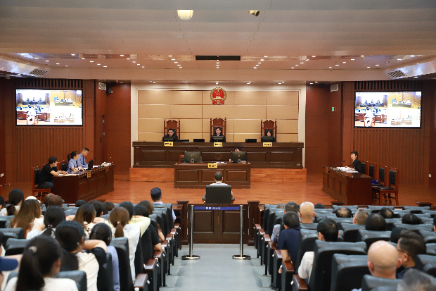 “零距离”警示教育，“沉浸式”以案普法——清远市普法办 清远市中级人民法院联合开展2025年清远市领导干部旁听庭审活动