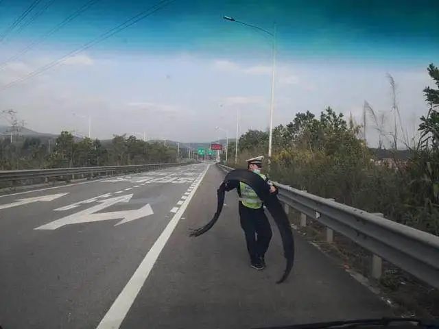 转存图片